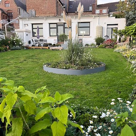 Le Petit Paradis Cassel Eksteriør bilde