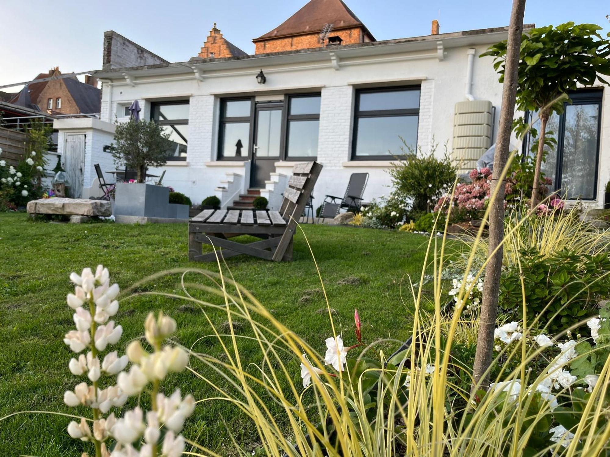 Le Petit Paradis Cassel Eksteriør bilde