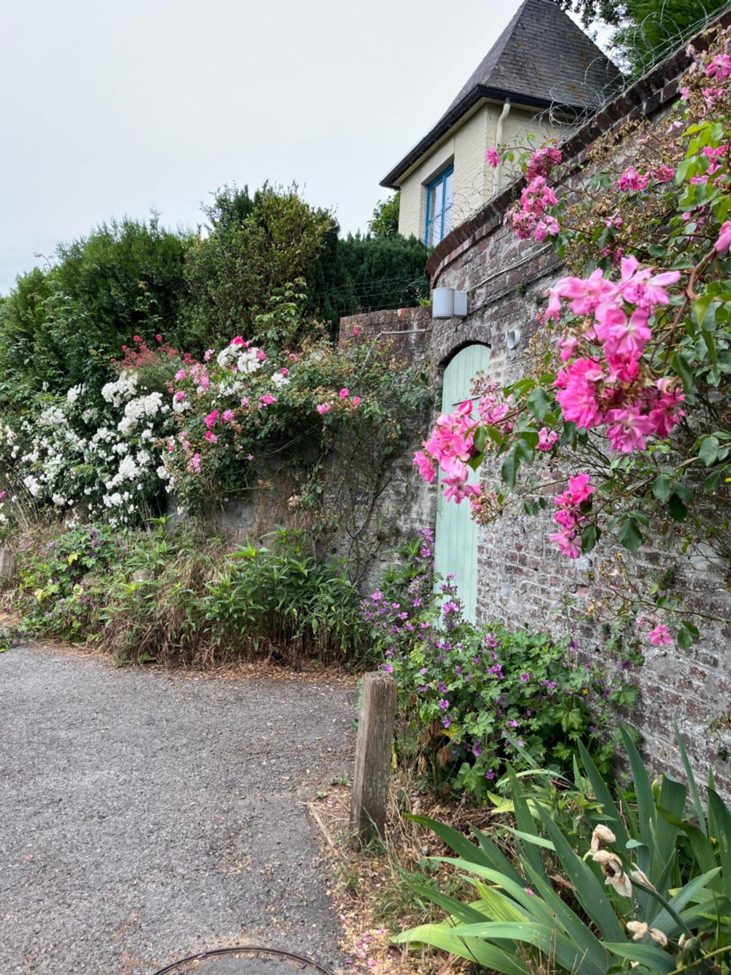Le Petit Paradis Cassel Eksteriør bilde